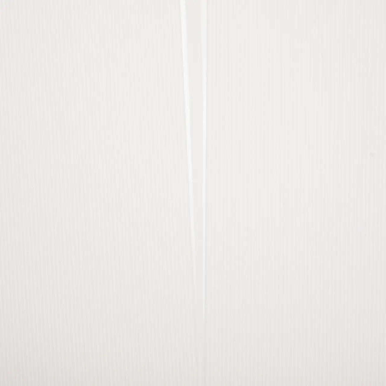 Walizka średnia Wings x Paprocki Brzozowski COCKATIEL – 24" WHITE - Image 14